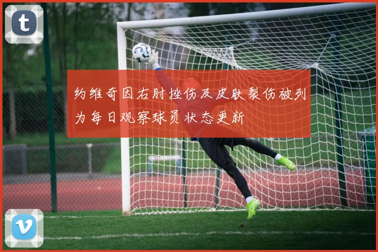 约维奇因右肘挫伤及皮肤裂伤被列为每日观察球员状态更新