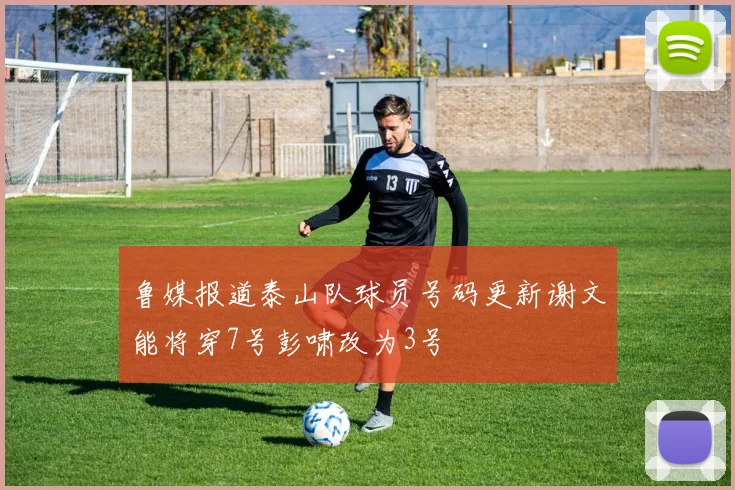 鲁媒报道泰山队球员号码更新谢文能将穿7号彭啸改为3号